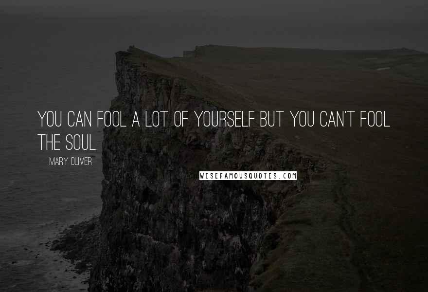 Mary Oliver Quotes: You can fool a lot of yourself but you can't fool the soul.