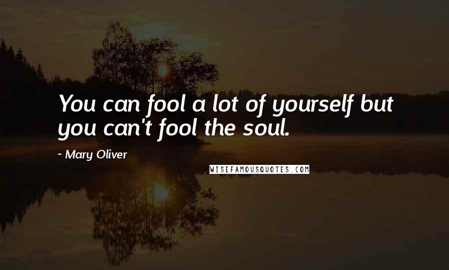 Mary Oliver Quotes: You can fool a lot of yourself but you can't fool the soul.