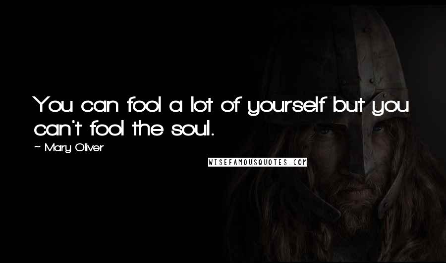 Mary Oliver Quotes: You can fool a lot of yourself but you can't fool the soul.