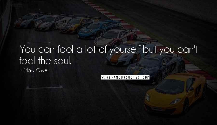 Mary Oliver Quotes: You can fool a lot of yourself but you can't fool the soul.