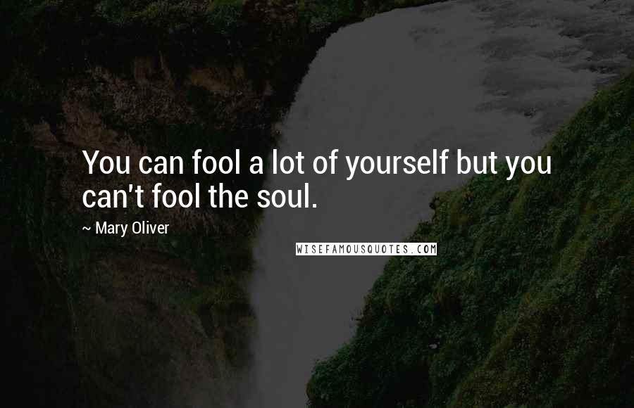 Mary Oliver Quotes: You can fool a lot of yourself but you can't fool the soul.