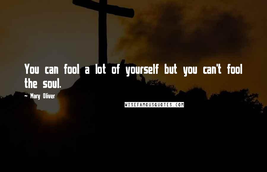 Mary Oliver Quotes: You can fool a lot of yourself but you can't fool the soul.