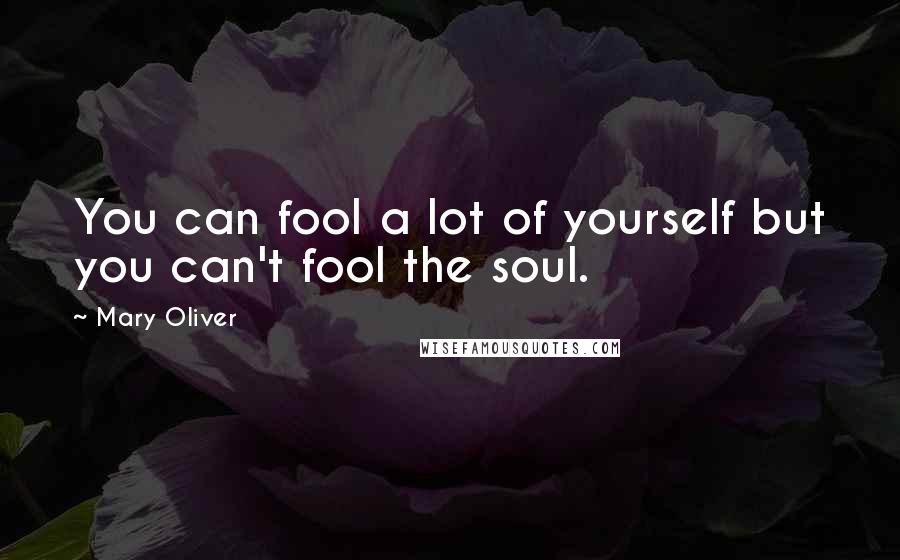 Mary Oliver Quotes: You can fool a lot of yourself but you can't fool the soul.