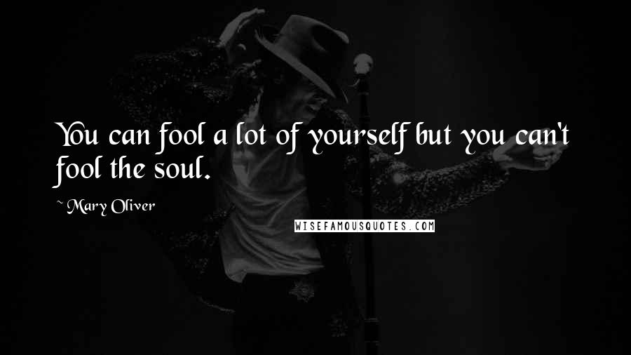 Mary Oliver Quotes: You can fool a lot of yourself but you can't fool the soul.