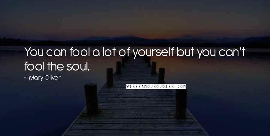 Mary Oliver Quotes: You can fool a lot of yourself but you can't fool the soul.