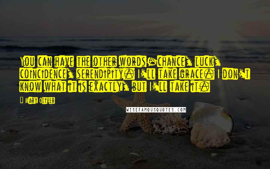 Mary Oliver Quotes: You can have the other words-chance, luck, coincidence, serendipity. I'll take grace. I don't know what it is exactly, but I'll take it.