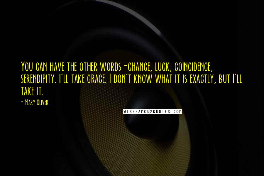 Mary Oliver Quotes: You can have the other words-chance, luck, coincidence, serendipity. I'll take grace. I don't know what it is exactly, but I'll take it.