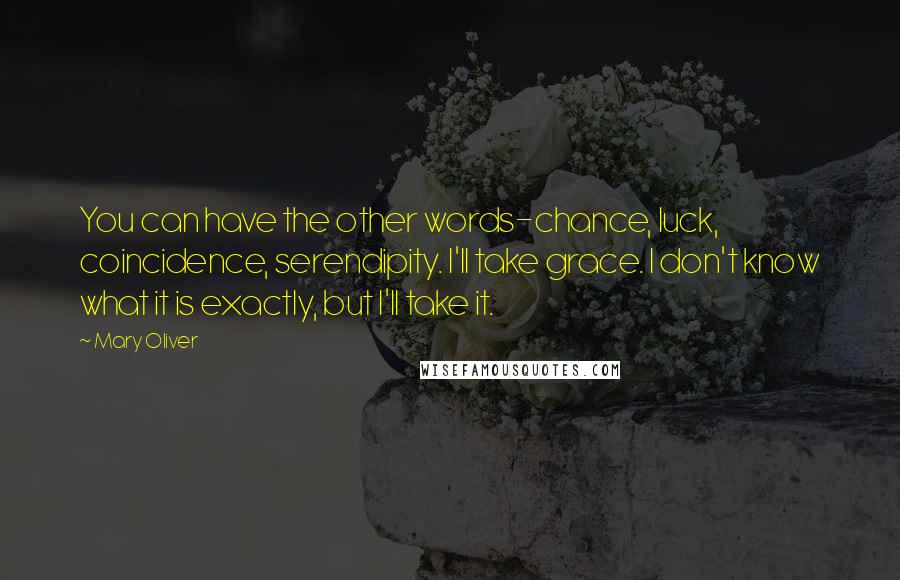 Mary Oliver Quotes: You can have the other words-chance, luck, coincidence, serendipity. I'll take grace. I don't know what it is exactly, but I'll take it.