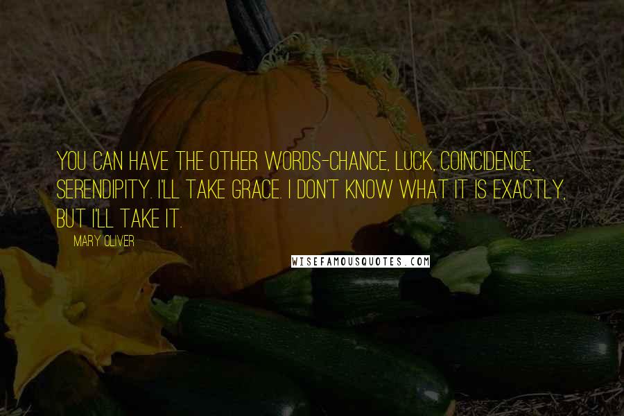 Mary Oliver Quotes: You can have the other words-chance, luck, coincidence, serendipity. I'll take grace. I don't know what it is exactly, but I'll take it.