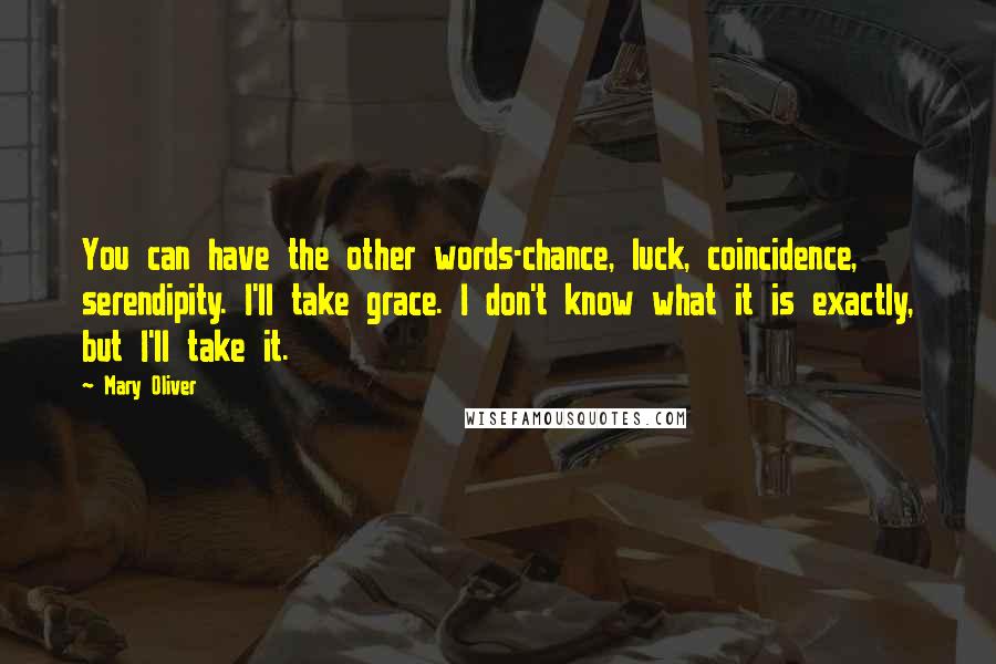 Mary Oliver Quotes: You can have the other words-chance, luck, coincidence, serendipity. I'll take grace. I don't know what it is exactly, but I'll take it.