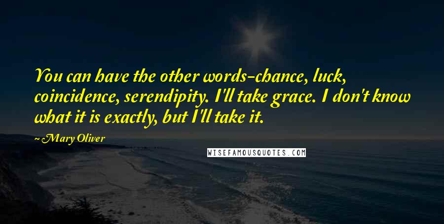 Mary Oliver Quotes: You can have the other words-chance, luck, coincidence, serendipity. I'll take grace. I don't know what it is exactly, but I'll take it.