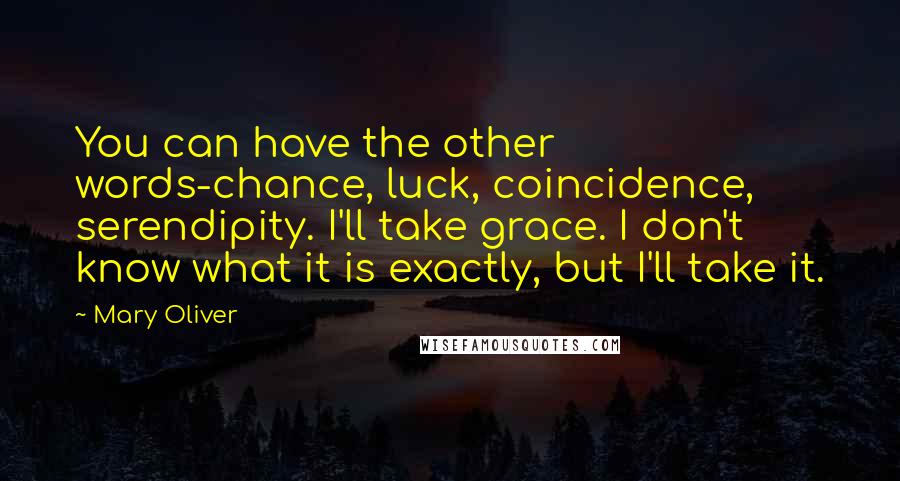 Mary Oliver Quotes: You can have the other words-chance, luck, coincidence, serendipity. I'll take grace. I don't know what it is exactly, but I'll take it.