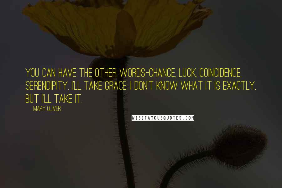 Mary Oliver Quotes: You can have the other words-chance, luck, coincidence, serendipity. I'll take grace. I don't know what it is exactly, but I'll take it.