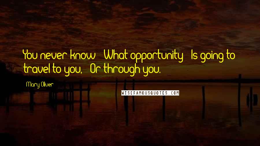 Mary Oliver Quotes: You never know / What opportunity / Is going to travel to you, / Or through you.