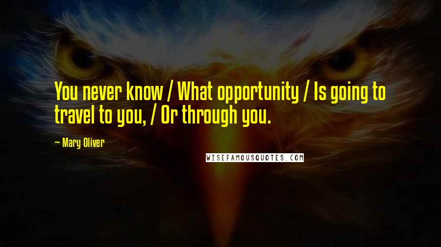 Mary Oliver Quotes: You never know / What opportunity / Is going to travel to you, / Or through you.