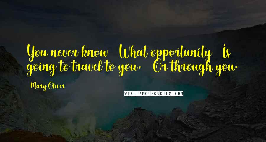 Mary Oliver Quotes: You never know / What opportunity / Is going to travel to you, / Or through you.