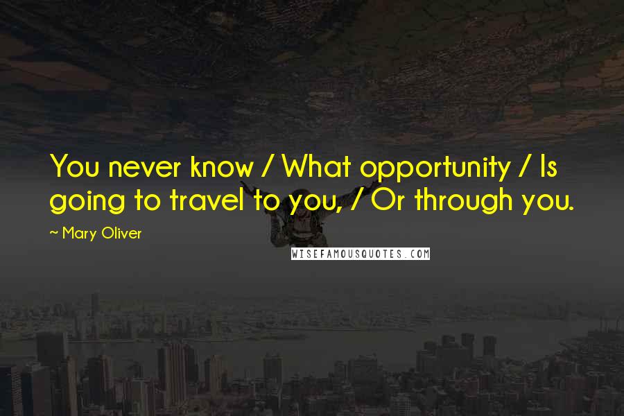 Mary Oliver Quotes: You never know / What opportunity / Is going to travel to you, / Or through you.