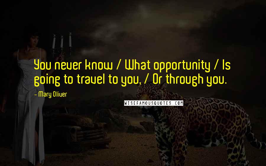 Mary Oliver Quotes: You never know / What opportunity / Is going to travel to you, / Or through you.