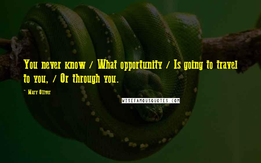 Mary Oliver Quotes: You never know / What opportunity / Is going to travel to you, / Or through you.