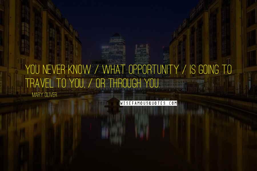 Mary Oliver Quotes: You never know / What opportunity / Is going to travel to you, / Or through you.