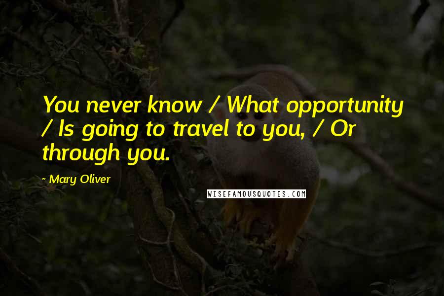 Mary Oliver Quotes: You never know / What opportunity / Is going to travel to you, / Or through you.