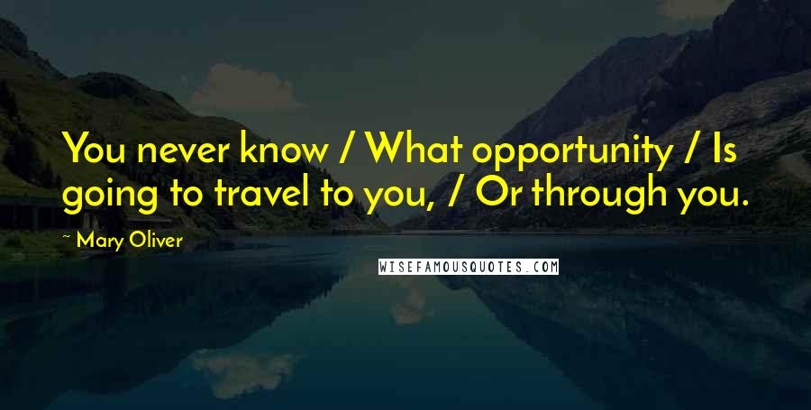 Mary Oliver Quotes: You never know / What opportunity / Is going to travel to you, / Or through you.