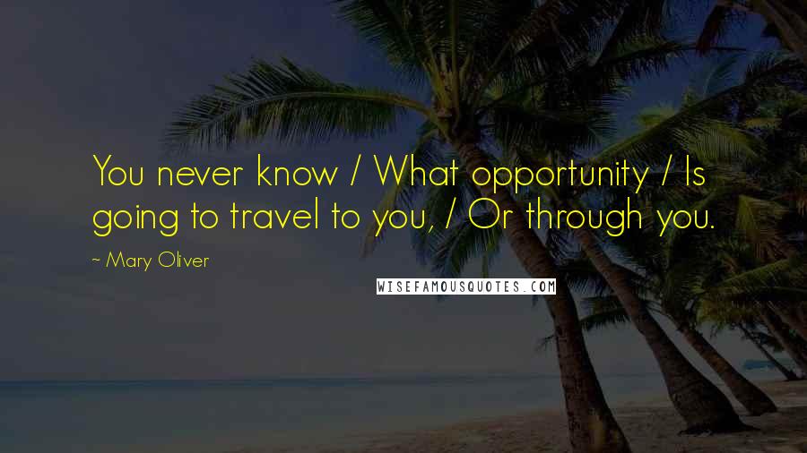 Mary Oliver Quotes: You never know / What opportunity / Is going to travel to you, / Or through you.