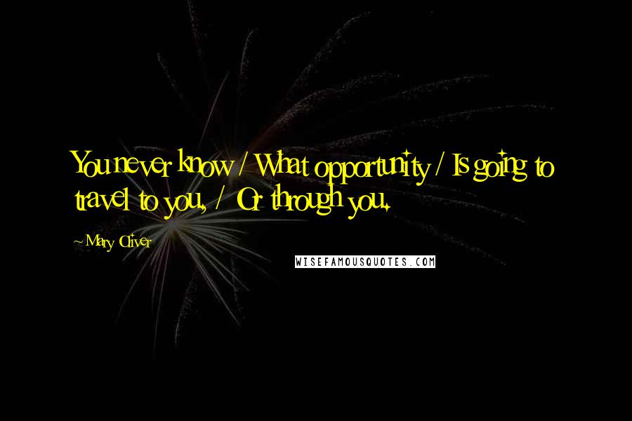 Mary Oliver Quotes: You never know / What opportunity / Is going to travel to you, / Or through you.