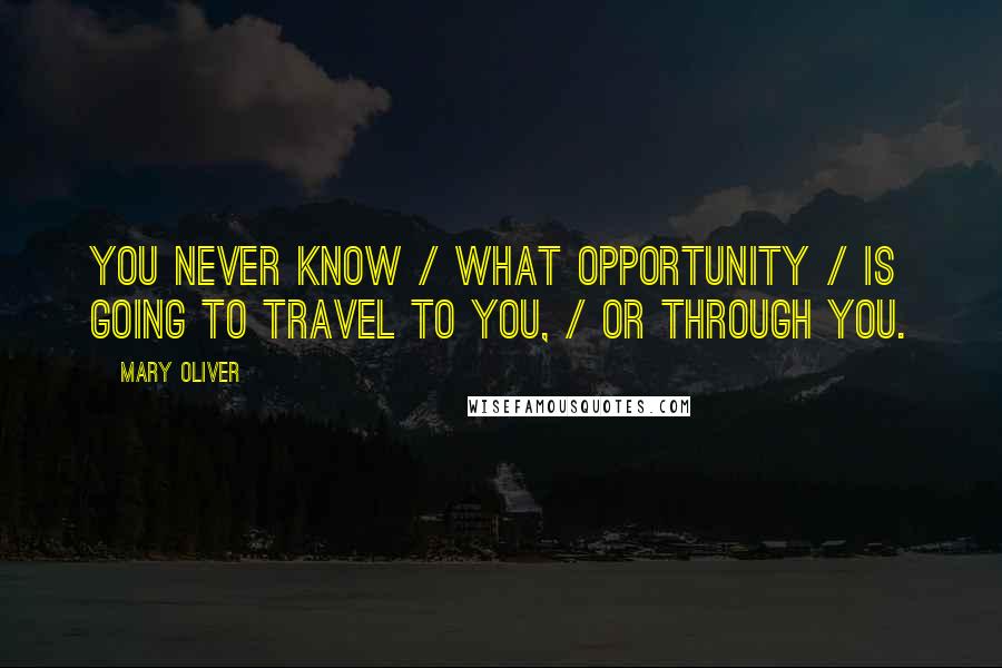 Mary Oliver Quotes: You never know / What opportunity / Is going to travel to you, / Or through you.