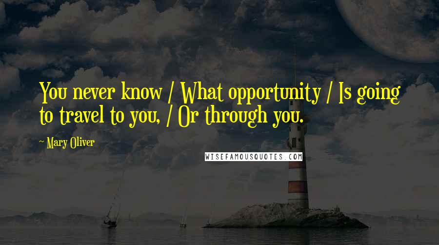 Mary Oliver Quotes: You never know / What opportunity / Is going to travel to you, / Or through you.