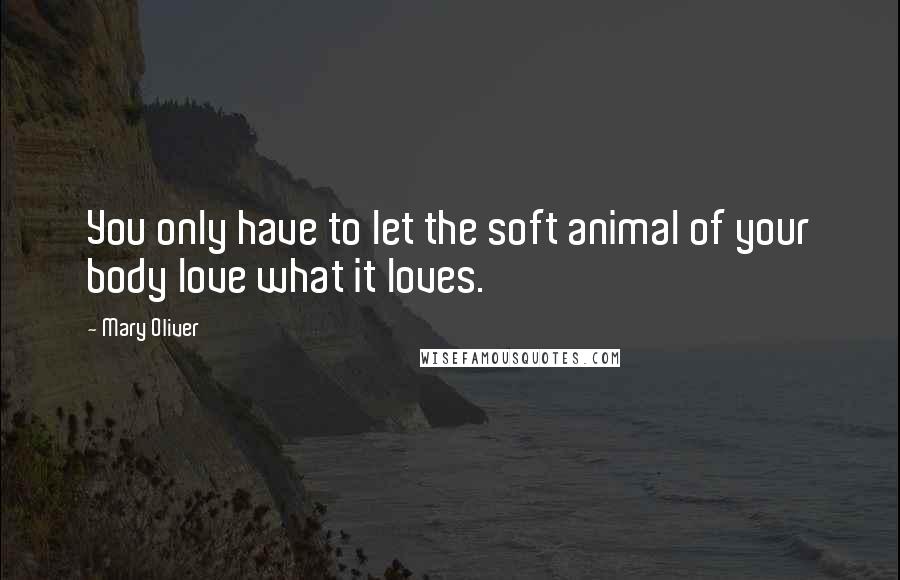 Mary Oliver Quotes: You only have to let the soft animal of your body love what it loves.