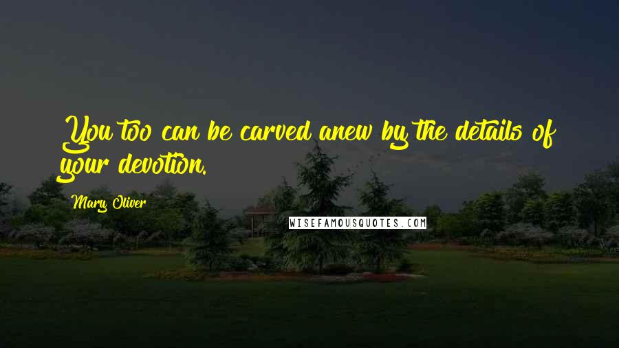 Mary Oliver Quotes: You too can be carved anew by the details of your devotion.