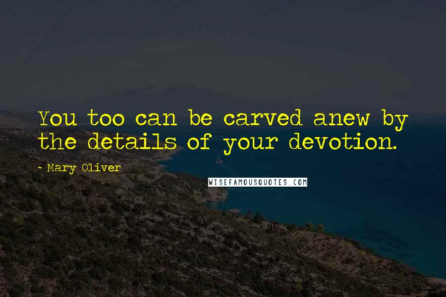 Mary Oliver Quotes: You too can be carved anew by the details of your devotion.