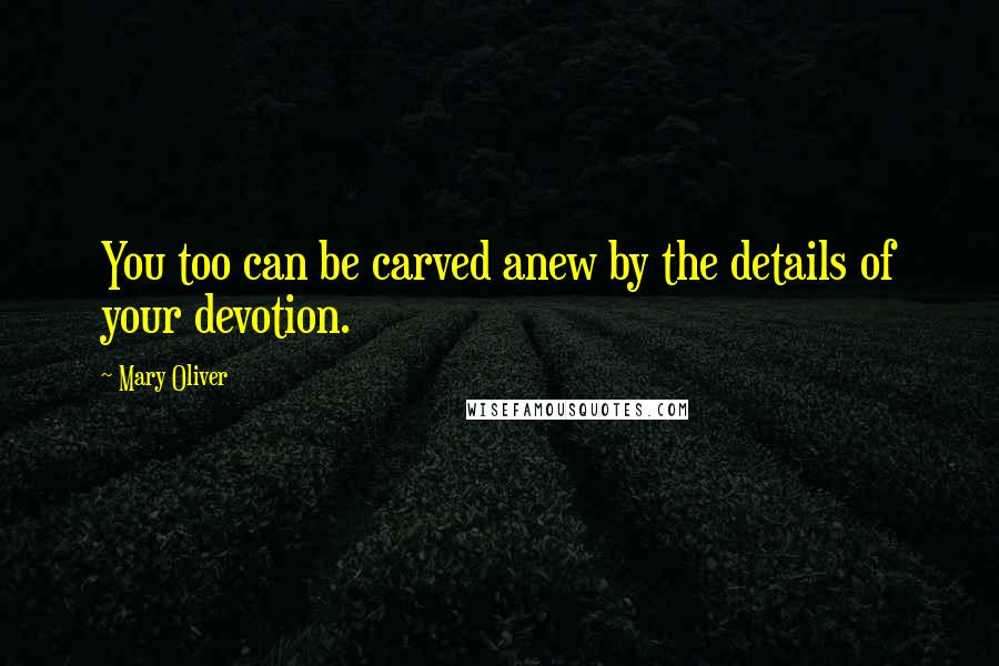 Mary Oliver Quotes: You too can be carved anew by the details of your devotion.
