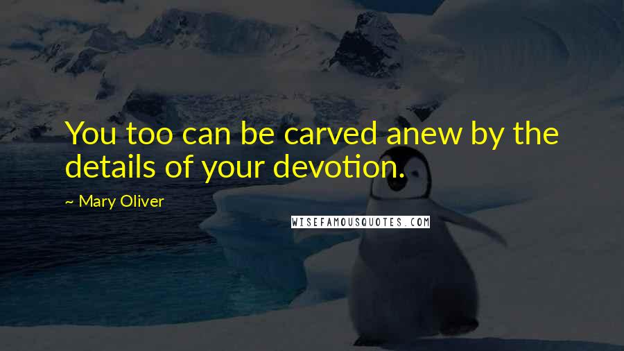 Mary Oliver Quotes: You too can be carved anew by the details of your devotion.