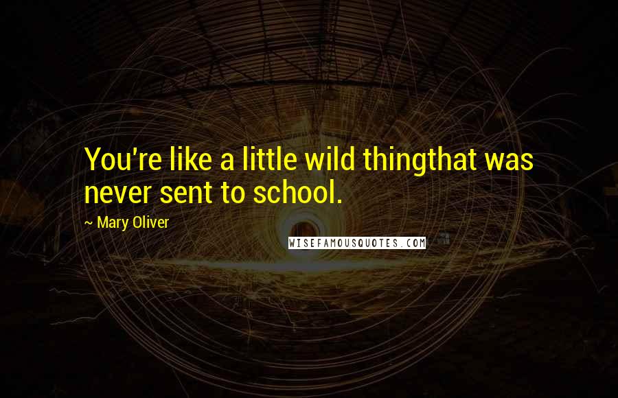 Mary Oliver Quotes: You're like a little wild thingthat was never sent to school.