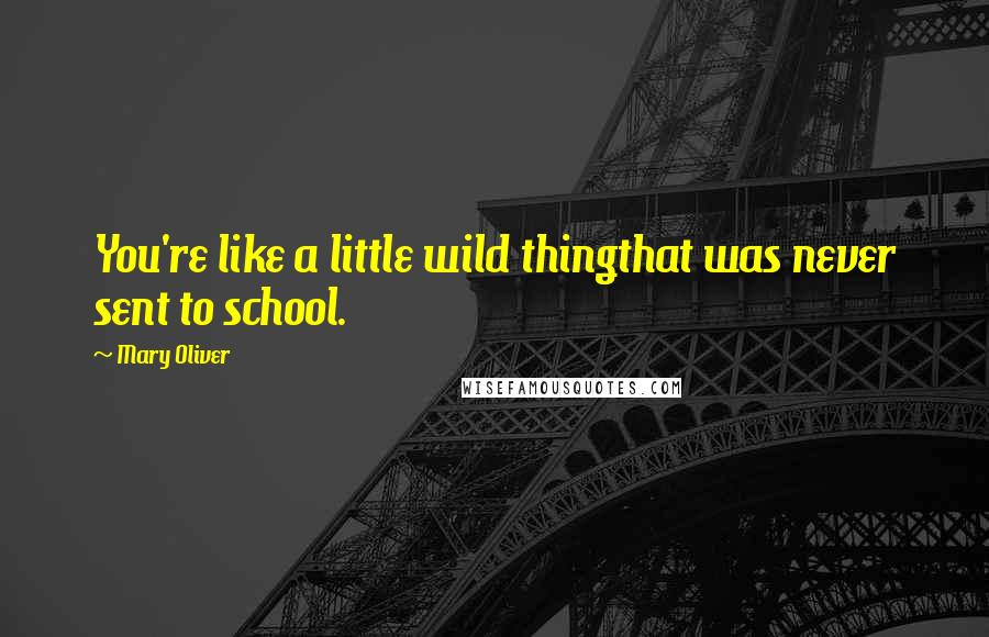 Mary Oliver Quotes: You're like a little wild thingthat was never sent to school.