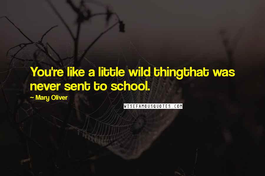 Mary Oliver Quotes: You're like a little wild thingthat was never sent to school.