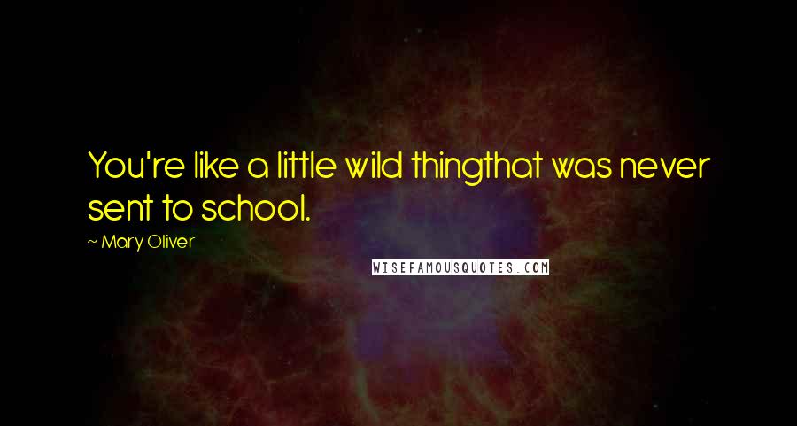 Mary Oliver Quotes: You're like a little wild thingthat was never sent to school.