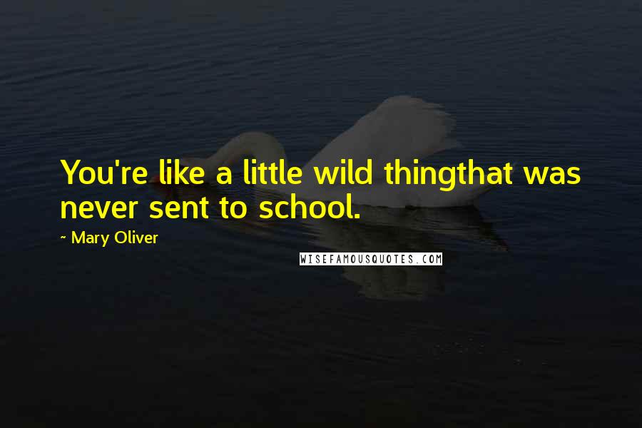 Mary Oliver Quotes: You're like a little wild thingthat was never sent to school.