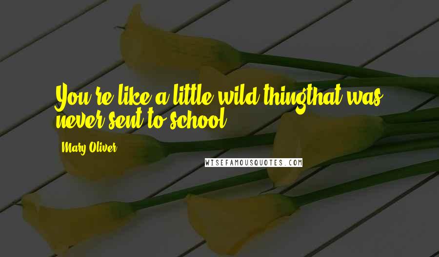 Mary Oliver Quotes: You're like a little wild thingthat was never sent to school.