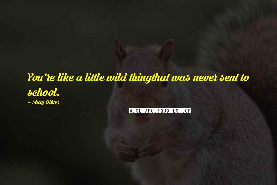 Mary Oliver Quotes: You're like a little wild thingthat was never sent to school.