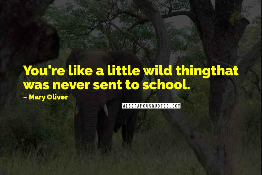 Mary Oliver Quotes: You're like a little wild thingthat was never sent to school.