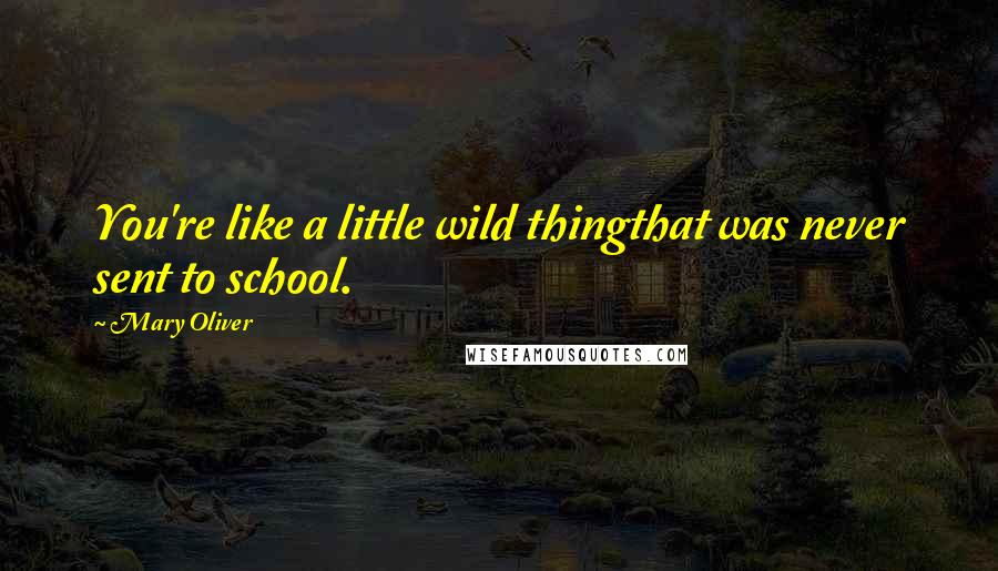 Mary Oliver Quotes: You're like a little wild thingthat was never sent to school.