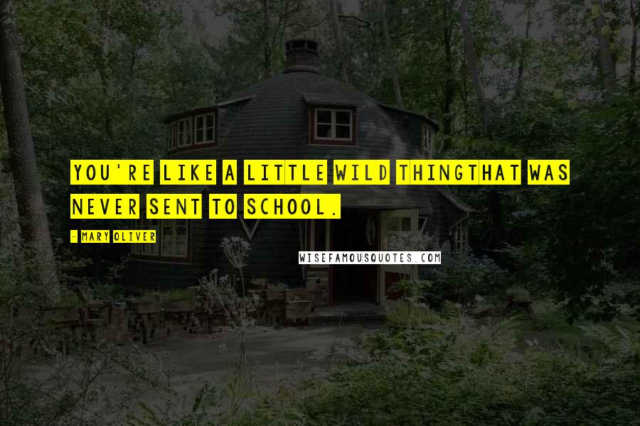 Mary Oliver Quotes: You're like a little wild thingthat was never sent to school.