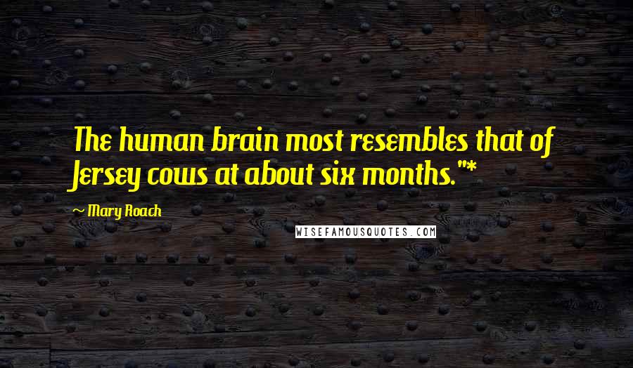 Mary Roach Quotes: The human brain most resembles that of Jersey cows at about six months."*