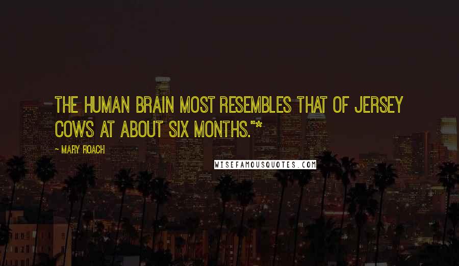 Mary Roach Quotes: The human brain most resembles that of Jersey cows at about six months."*