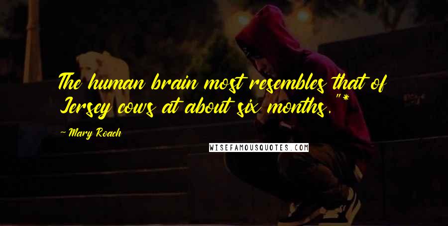 Mary Roach Quotes: The human brain most resembles that of Jersey cows at about six months."*