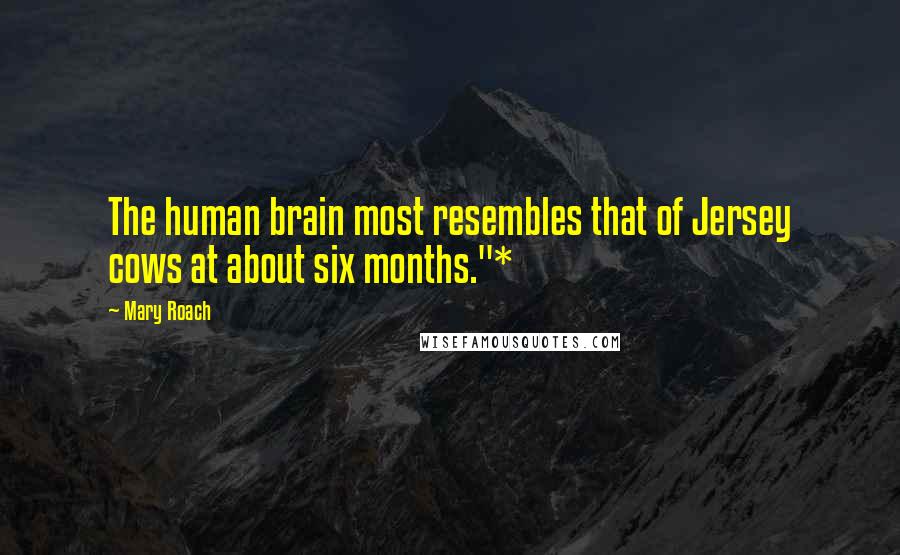 Mary Roach Quotes: The human brain most resembles that of Jersey cows at about six months."*