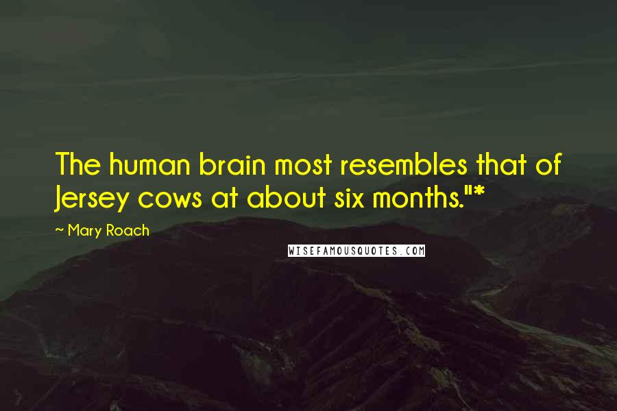 Mary Roach Quotes: The human brain most resembles that of Jersey cows at about six months."*